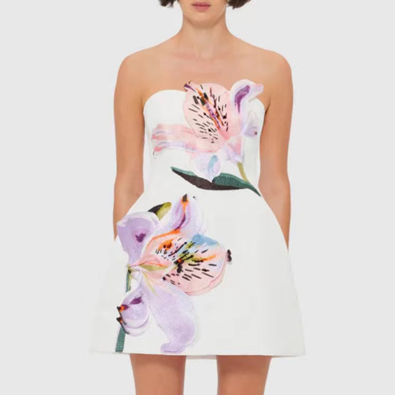 French sweet style strapless short skirt 2025 new item niche age reducing fashion printed design sleeveless waist cinching A-line skirt