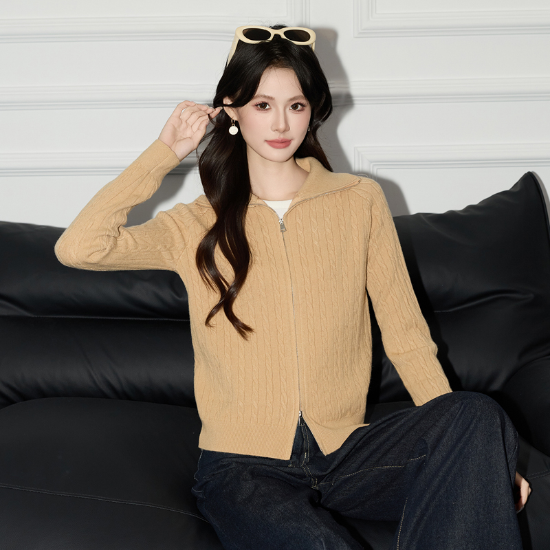 Design sense of western-style double zipper sweater for women in autumn 2025, new style for small stature, versatile base shirt, top