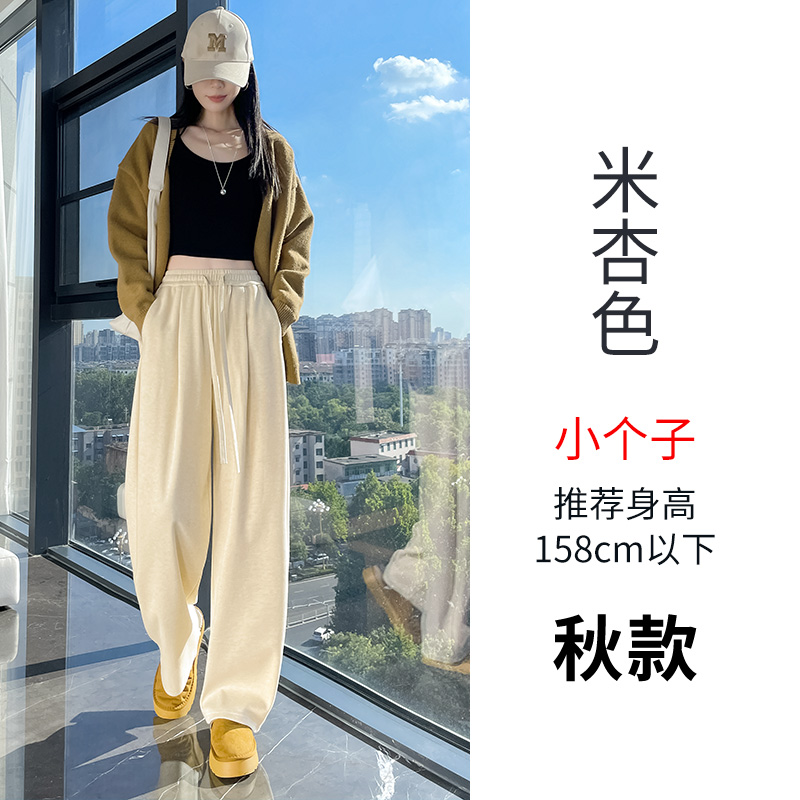 Women's autumn and winter new fashionable, simple and versatile casual wide leg pants with added velvet, thickened insulation and elastic waistband Women's autumn and winter new fashionable, simple and versatile casual wide leg pants with added velvet, thickened insulation and elastic waistband